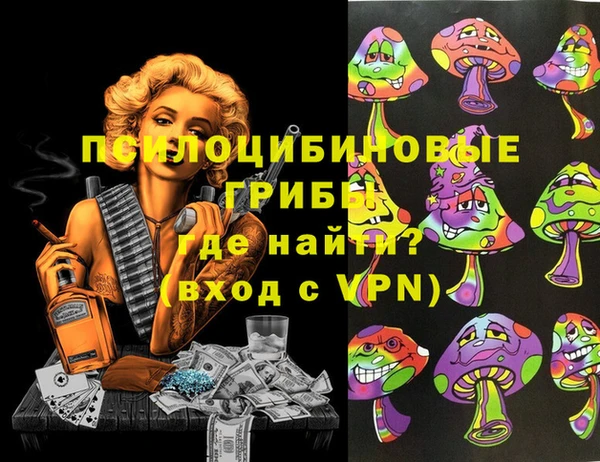 герыч Алексин
