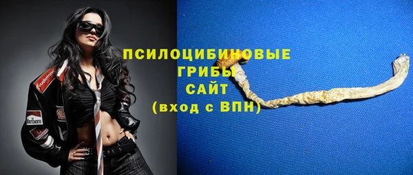 шишки Алзамай