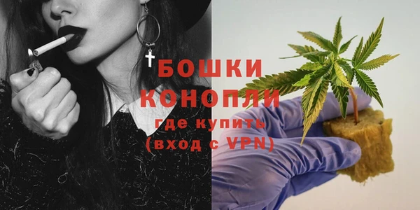 шишки Алзамай