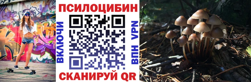 Галлюциногенные грибы GOLDEN TEACHER  Сургут 